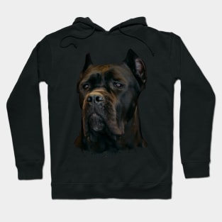 Cane Corso - Italian Mastiff Hoodie